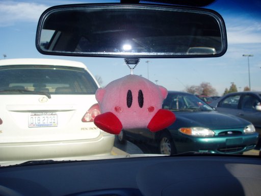 Naram's Youmacon 2005 Photos - Slide 8: Kirby Plushie in my Car